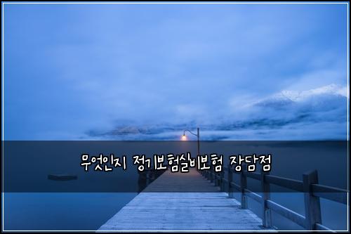 무엇인지 정기보험실비보험 장담점