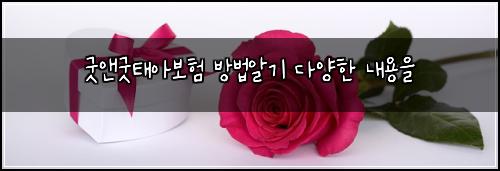 ๊ตฟ์ค๊ตฟํ์๋ณดํ ๋ฐฉ๋ฒ์๊ธฐ ๋ค์ํ ๋ด์ฉ์