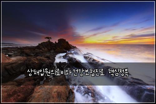 ์ํด์
์์๋ฃ๋น์๊ฑด๊ฐ๋ณดํ์ง๋ฃ ํต์ฌ์ ๋ณต