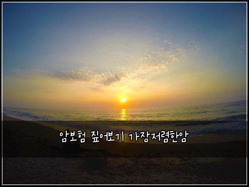 암보험 짚어보기  가장저렴한암