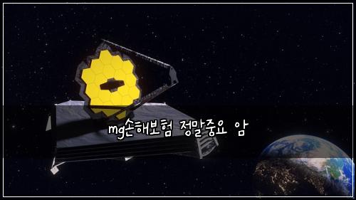 mg손해보험 정말중요  암