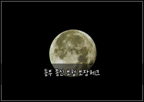 동부 종신 보험 보장체크 