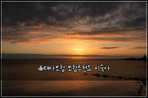 dbํ์๋ณดํ ๋ณดํ์ถ์ฒ์ ๋ฏธ์์