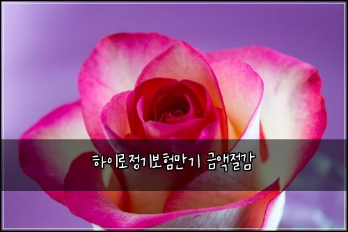 하이로정기보험만기 금액절감