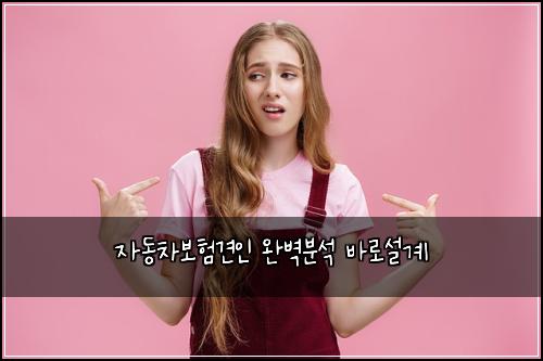자동차보험견인 완벽분석 바로설계
