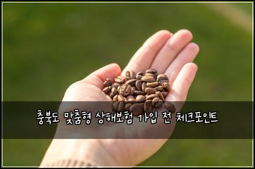 충북도 맞춤형 상해보험 가입 전 체크포인트