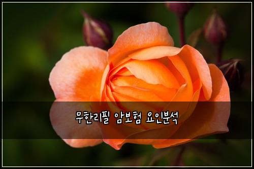 무한리필 암보험 요인분석 
