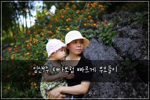 임신9주 태아보험 빠르게  부모들이