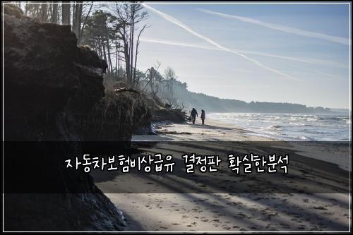 ์๋์ฐจ๋ณดํ๋น์๊ธ์ ๊ฒฐ์ ํ ํ์คํ๋ถ์