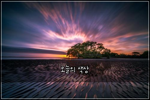 오늘의 색상