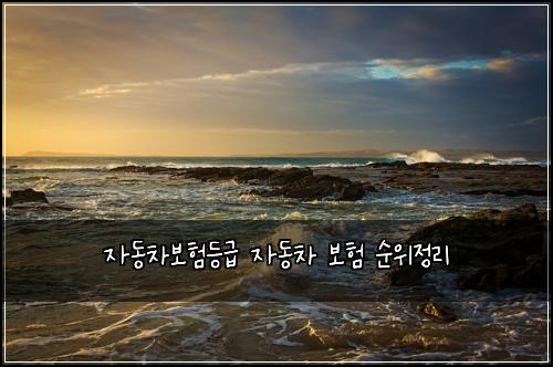 자동차보험등급 자동차 보험 순위정리