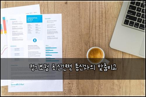 정기보험 최신견적  종신과의 맞춤비교