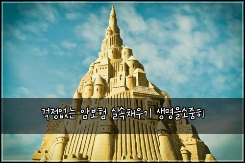 ๊ฑฑ์ ์๋ ์๋ณดํ ์ค์์ฑ์ฐ๊ธฐ ์๋ช
์์์คํ