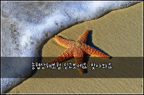 ๋ํ์ํด๋ณดํ ๋ฏฟ๊ณ ๋ณด์ธ์ ์ฐพ์๋ด์