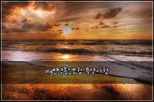 ing๋ณ์ก์ข
์ ๋ณดํ ํน์ฝ์ฌํญ