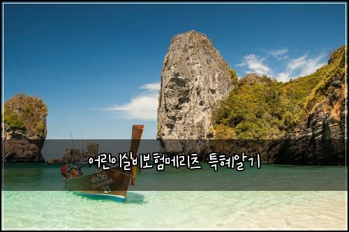 ์ด๋ฆฐ์ด์ค๋น๋ณดํ๋ฉ๋ฆฌ์ธ ํนํ์๊ธฐ