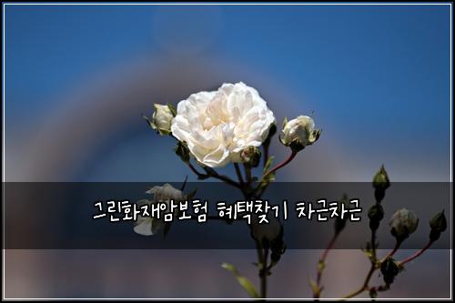 ๊ทธ๋ฆฐํ์ฌ์๋ณดํ ํํ์ฐพ๊ธฐ ์ฐจ๊ทผ์ฐจ๊ทผ