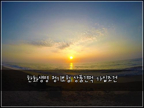 한화생명 정기보험 상품견적  가입조건
