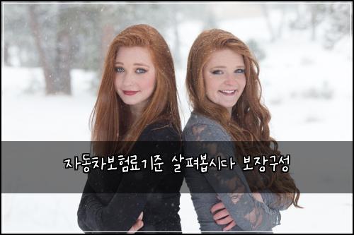 자동차보험료기준 살펴봅시다 보장구성