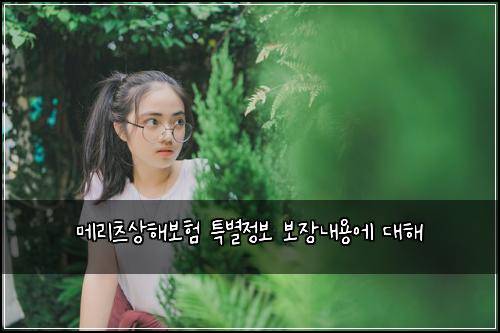 메리츠상해보험 특별정보  보장내용에 대해