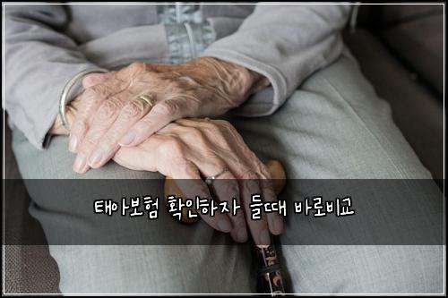 ํ์๋ณดํ ํ์ธํ์ ๋ค๋ ๋ฐ๋ก๋น๊ต