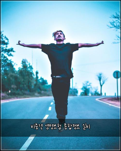 비중격 생명보험 종합정보  실비