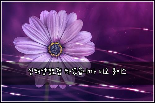 ์ํด์๋ช
๋ณดํ ํ์
จ์ต๋๊น ๋น๊ต ์ด์ด์ค