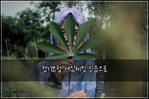 정기보험 세심체킹  믿음으로