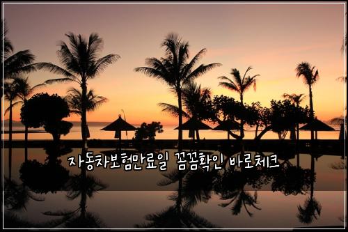자동차보험만료일 꼼꼼확인 바로체크