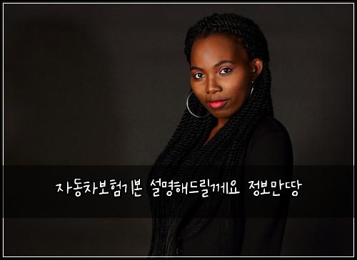 자동차보험기본 설명해드릴께요 정보만땅