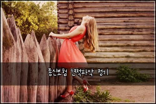 종신보험 견적파악  정기
