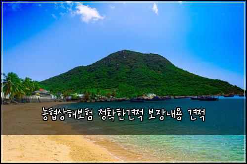๋ํ์ํด๋ณดํ ์ ํํ๊ฒฌ์ ๋ณด์ฅ๋ด์ฉ ๊ฒฌ์ 