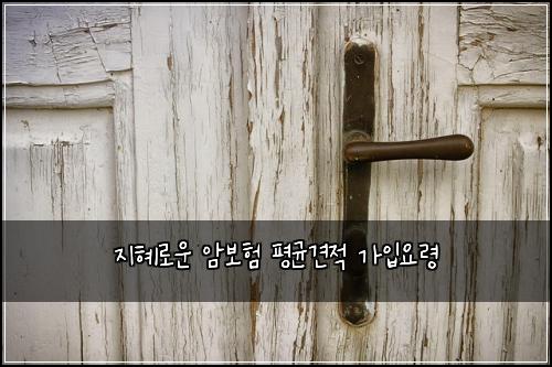 지혜로운 암보험 평균견적  가입요령