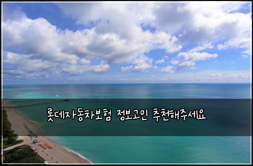 롯데자동차보험 정보고민  추천해주세요