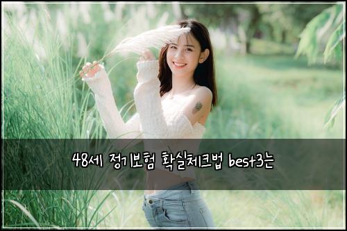 48์ธ ์ ๊ธฐ๋ณดํ ํ์ค์ฒดํฌ๋ฒ best3๋