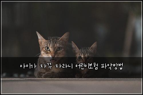 아이가 자꾸 자라니 어린이보험 파악방법 