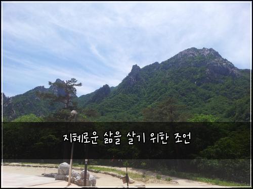 지혜로운 삶을 살기 위한 조언