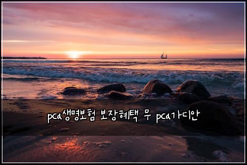 pca์๋ช
๋ณดํ ๋ณด์ฅํํ ๋ฌด pca๊ฐ๋์