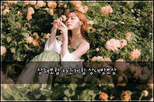 μν΄λ³΄ν μλκ²ν μλ방보μ