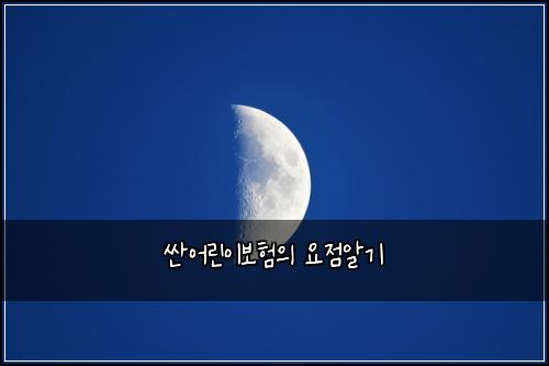 ์ผ์ด๋ฆฐ์ด๋ณดํ์ ์์ ์๊ธฐ