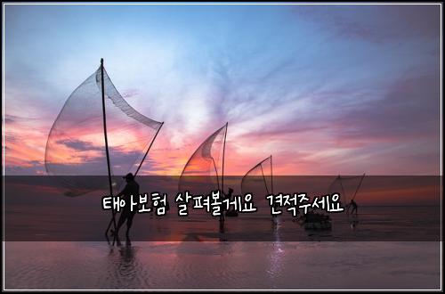 태아보험 살펴볼게요  견적주세요