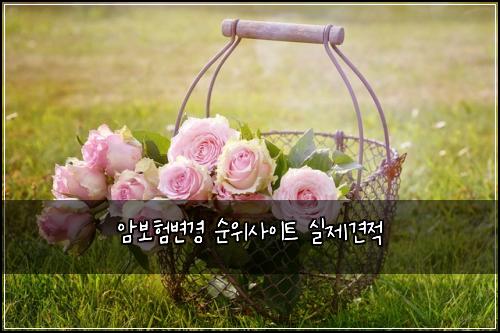 암보험변경 순위사이트 실제견적