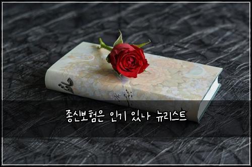 ์ข
์ ๋ณดํ์ ์ธ๊ธฐ ์๋ ๋ด๋ฆฌ์คํธ