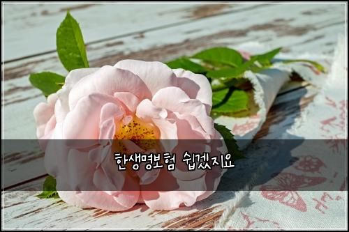 한생명보험 쉽겠지요 