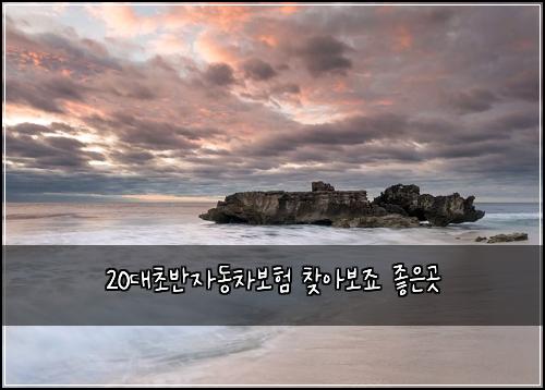 20대초반자동차보험 찾아보죠  좋은곳