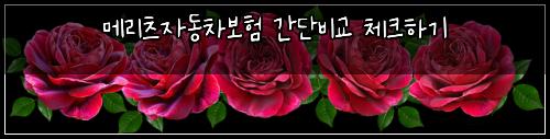 λ©λ¦¬μΈ μλ차보ν κ°λ¨λΉκ΅ 체ν¬νκΈ°