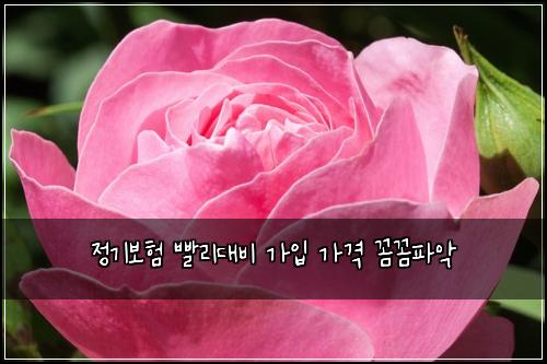 ์ ๊ธฐ๋ณดํ ๋นจ๋ฆฌ๋๋น ๊ฐ์
๊ฐ๊ฒฉ ๊ผผ๊ผผํ์