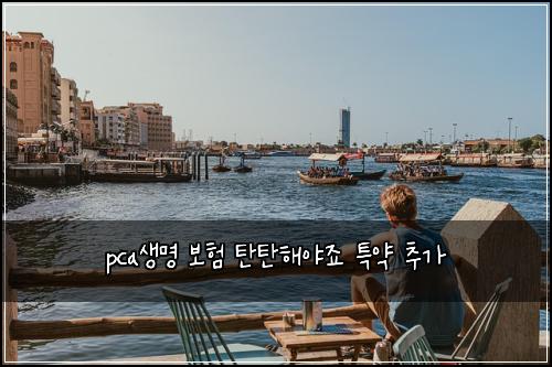 pcaμλͺ
보ν ννν΄μΌμ£ νΉμ½ μΆκ°