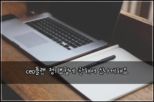ceo플랜 정기보험에 관해서 신나게해요