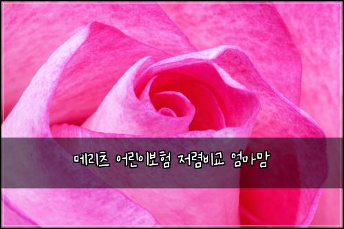 ๋ฉ๋ฆฌ์ธ ์ด๋ฆฐ์ด๋ณดํ ์ ๋ ด๋น๊ต ์๋ง๋ง
